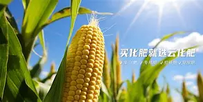 ?~滴zif1|惁麁n尯??&?橺gy(は和が一起使用)